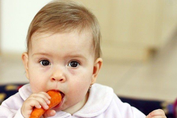 Những điều cần nhớ khi bắt đầu cho trẻ ăn thức ăn thô